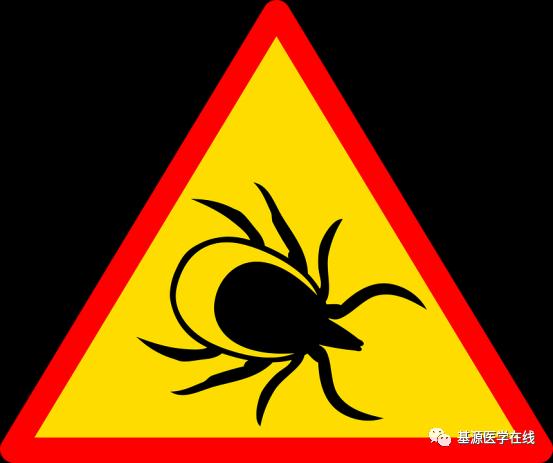 被蚊虫叮咬后需注意预防虫咬皮炎,蚊虫叮咬的皮炎是什么症状