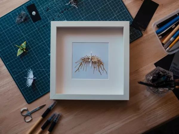 1000天1000只纸鹤，他折的纸鹤让自己走出抑郁……