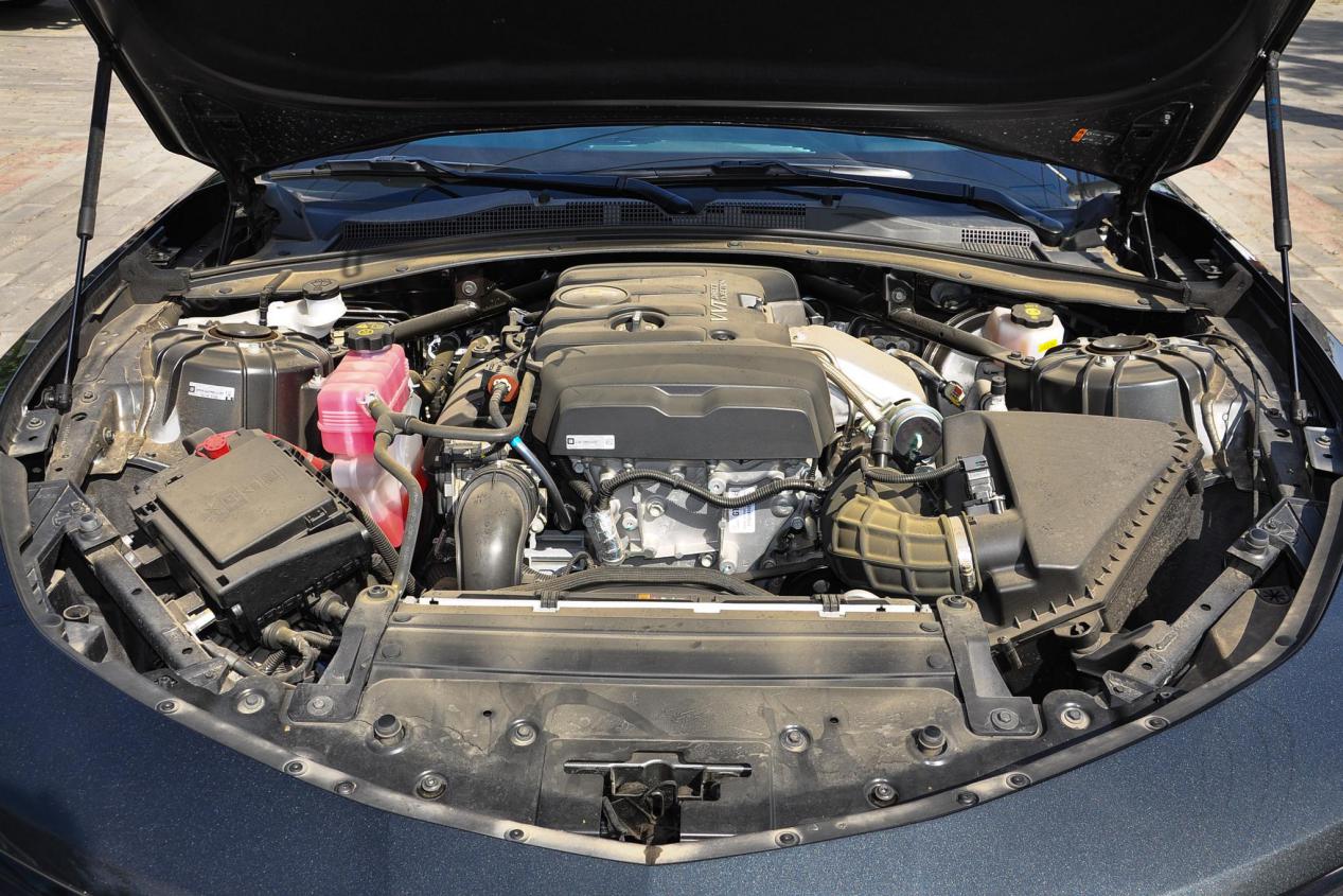 野马mustang和雪佛兰科迈罗2.0t,雪佛兰科迈罗zl1和野马谢尔比gt500