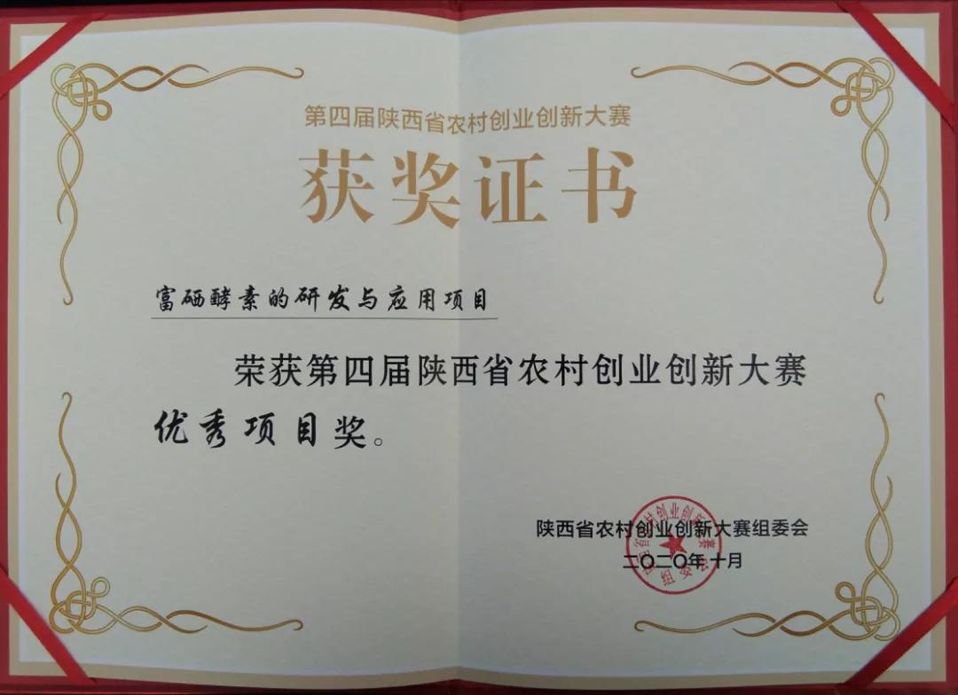 富硒酵素菌种制种,富硒农业科技成果