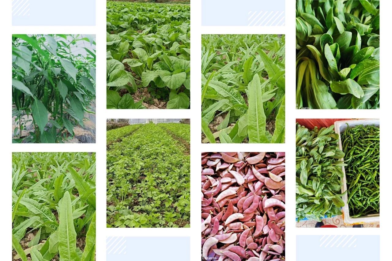 长沙周边农家乐景点推荐,长沙农家乐哪里好玩