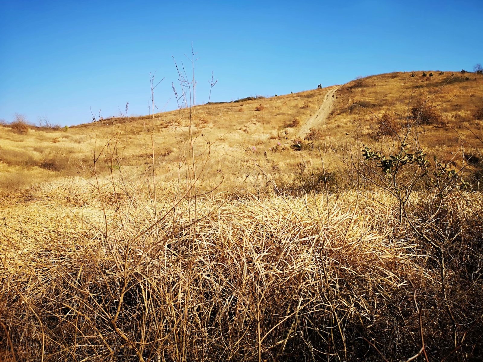 摩托周边旮旯游——探访蚌埠李楼鲁山寺遗址（上）