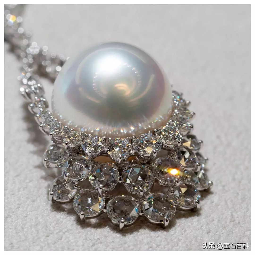 澳白珍珠和南洋金珍珠,澳白南洋白珍珠
