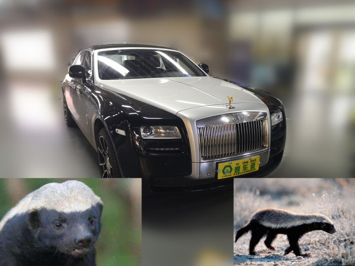 劳斯莱斯古思特进化史,车况最差的劳斯莱斯古思特