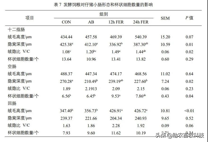 发酵饲料能提高多少吸收率,发酵饲料对猪有没有好处