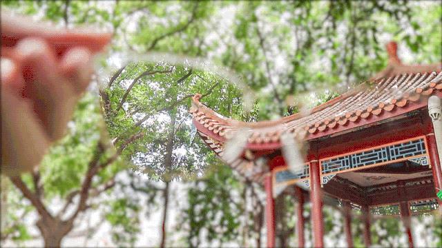 莆田市1.61超薄近视眼镜镜片价格,莆田荔城区眼镜店