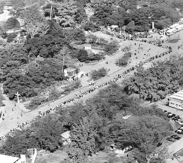日本的顶级流量担当者大熊猫！日本人的熊猫情结疯狂到你想不到