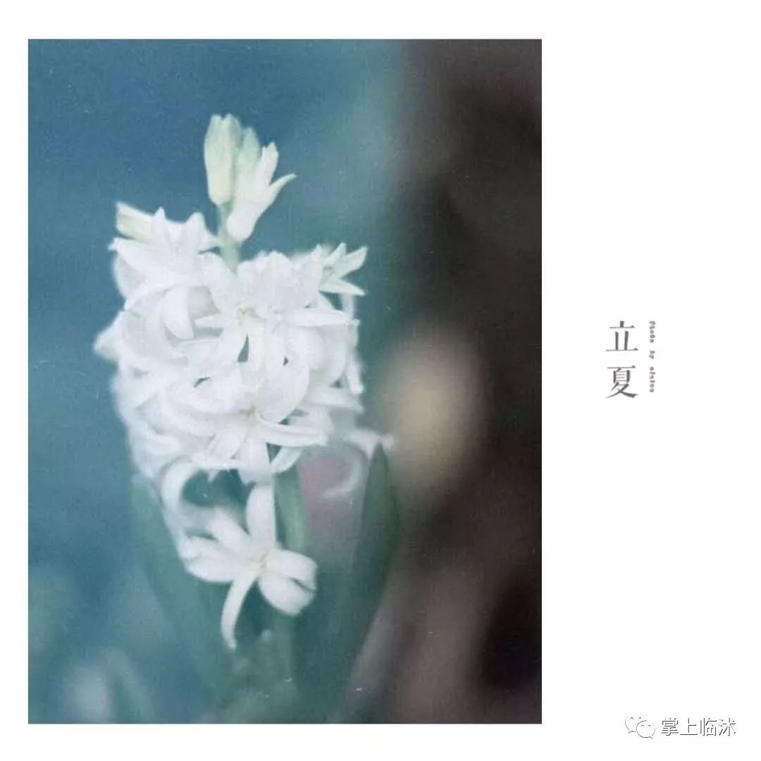 航拍最美临沭,临沭最美风景