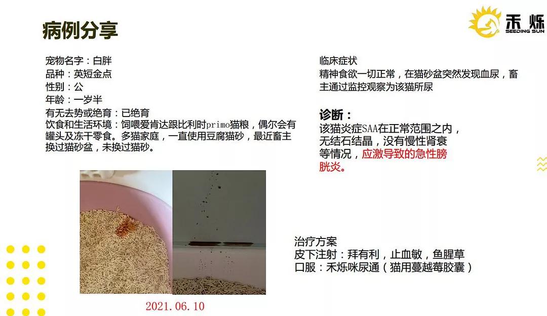 猫咪的泌尿处方粮有用吗,猫咪泌尿发炎用什么药