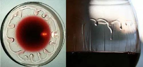 国产红酒入门必买5瓶,红酒知识入门视频教程