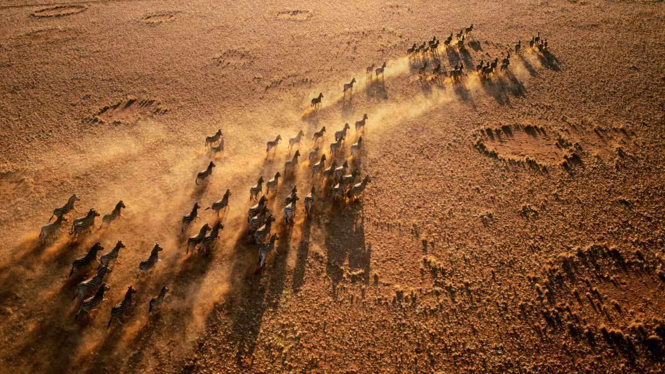 纳米比亚独特风景,纳米比亚最不能错过的是美丽