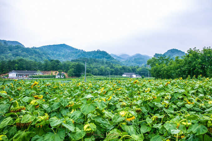 朝天三天旅游攻略,朝天区旅游攻略自驾游