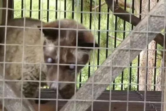 只为一串佛珠,他活剥了我妈的皮:人心有多可怕,你根本想象不到