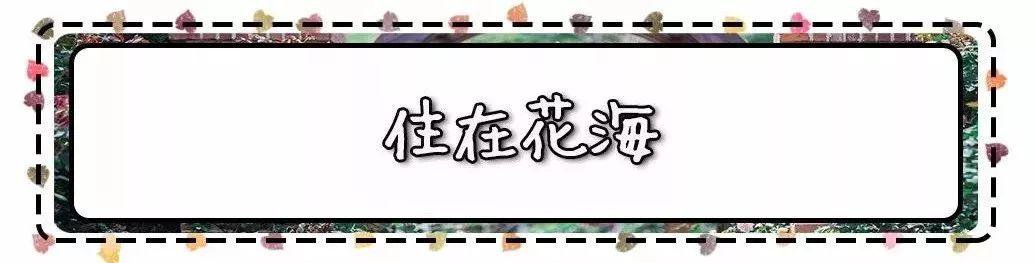槽糕，是心动的感觉！这个神秘花谷正在悄然绽放！走，去拍照～