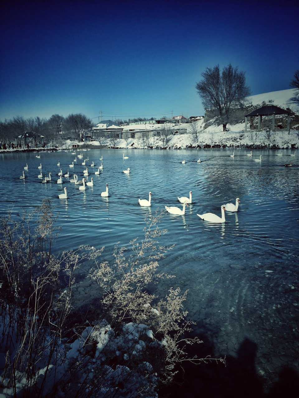 小说漂泊第四部,漂泊小说第三章