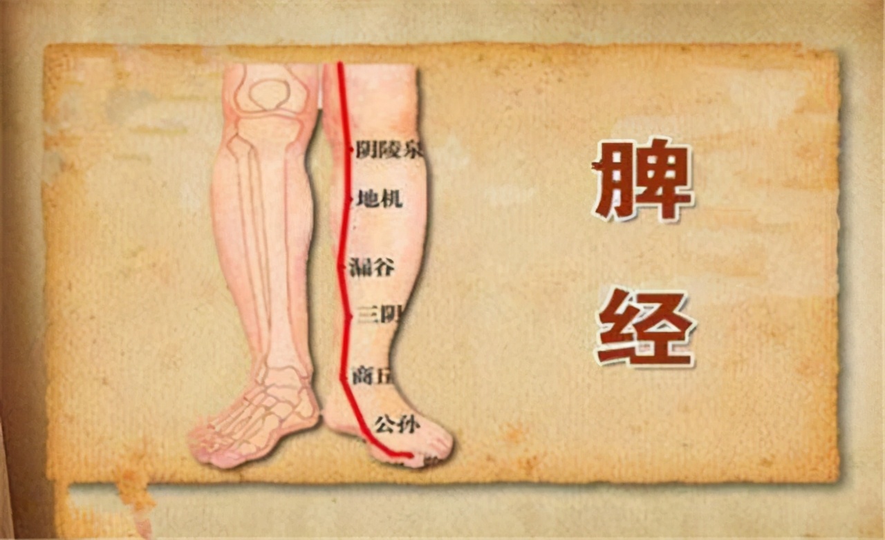 脾胃虚弱的10个表现图,脾胃虚弱的10种表现