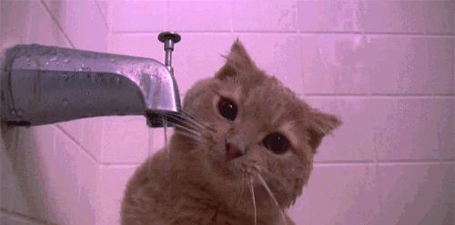 30多岁需要通过钙片来补钙吗,补钙的同时可以喝益生菌吗