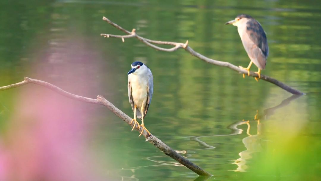 閮戝窞椋為笩瀹跺洯鍥剧墖澶у叏,閮戝窞椋為笩瀹跺洯椋庢櫙