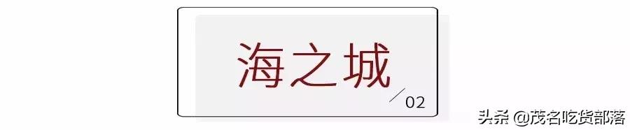 茂名这座城市被誉为什么城,茂名是一座怎样的城市