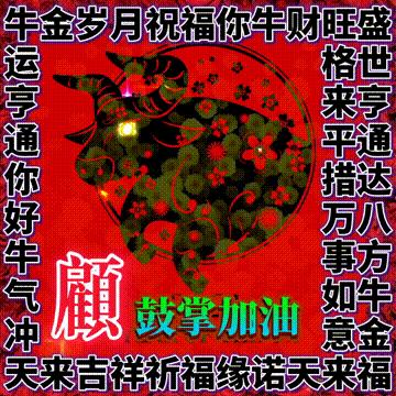 年味文化大餐！最新网络世界符号工具表情包【百家姓】专辑！