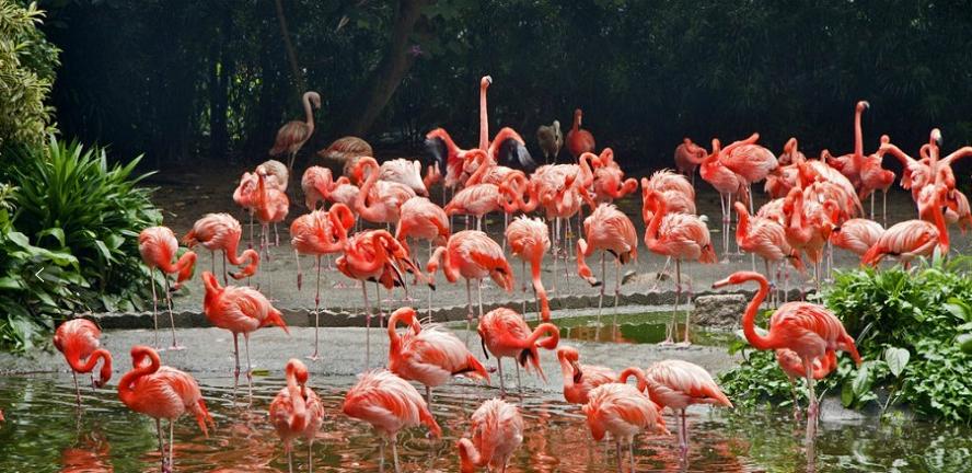 新加坡沙滩旅游景点,新加坡十个必去的旅游景点