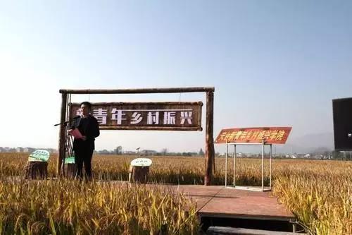 明明可以靠颜值偏要拼实力,明明可以靠颜值却偏偏要拼实力