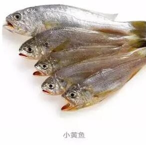 心痛的感觉！八种海鲜暂别啦