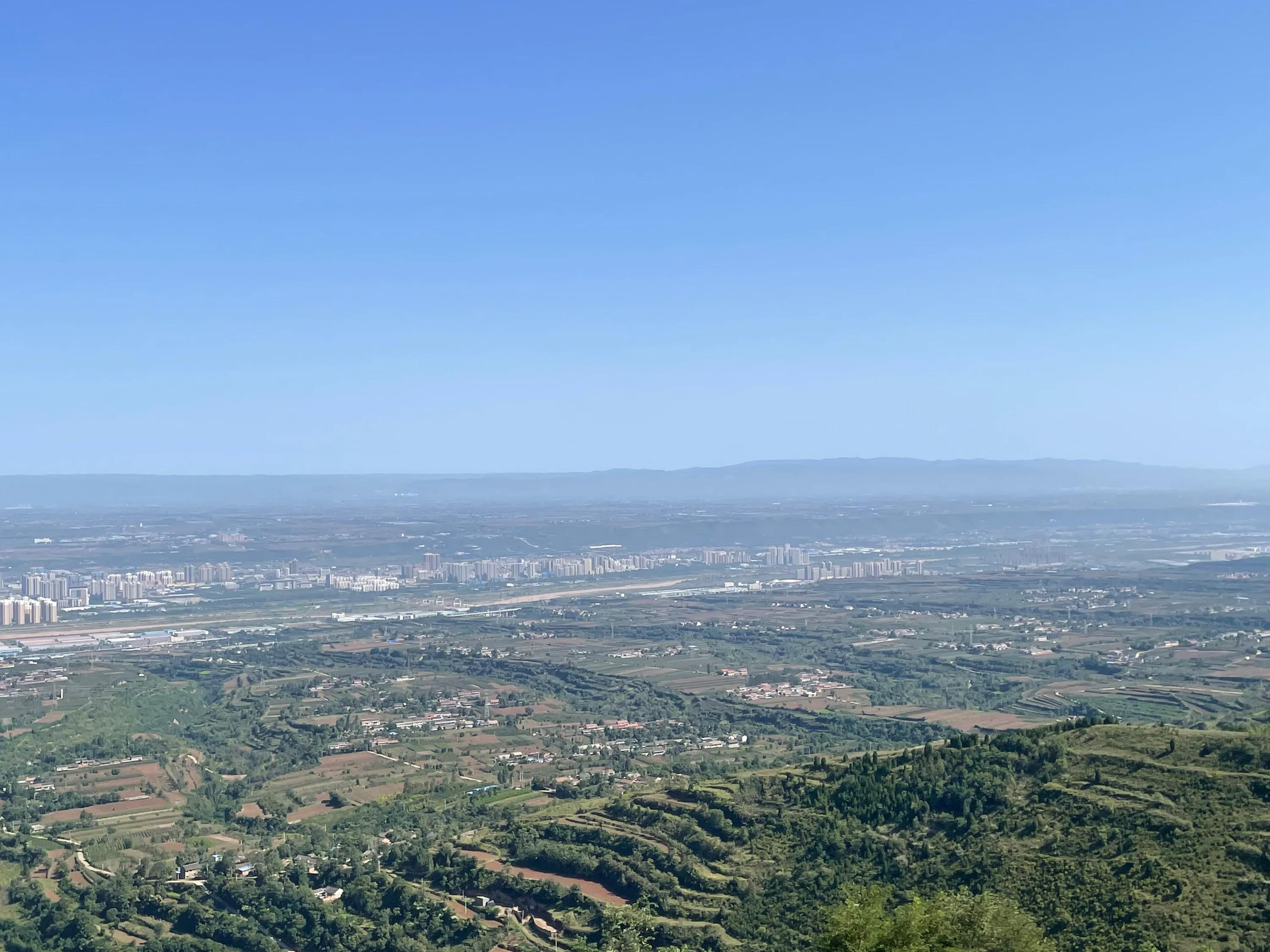 白雀寺神树视频,白雀寺供奉哪位菩萨