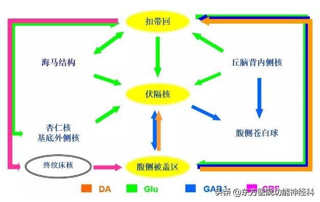 精神病人的前世,精神科药物的前世今生
