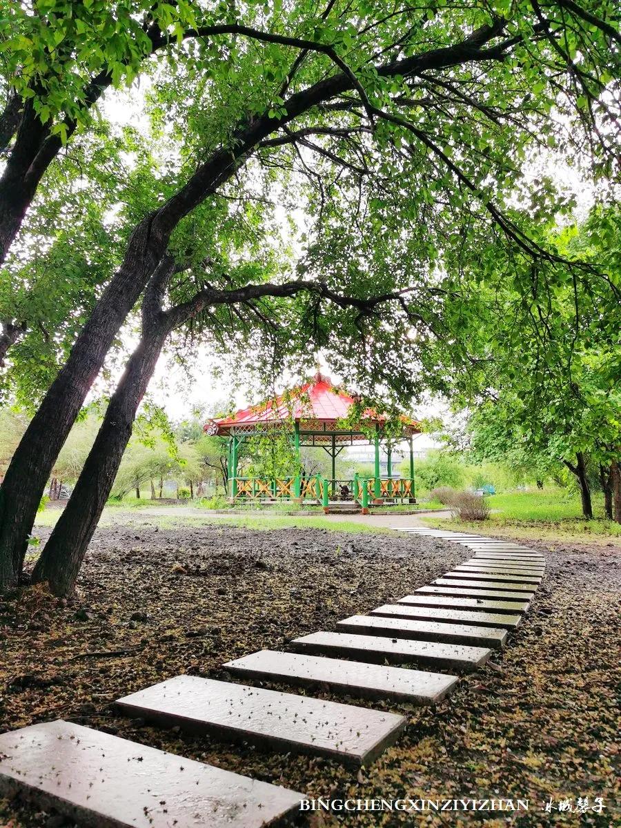 伏尔加庄园最好的地方,伏尔加庄园有什么特色