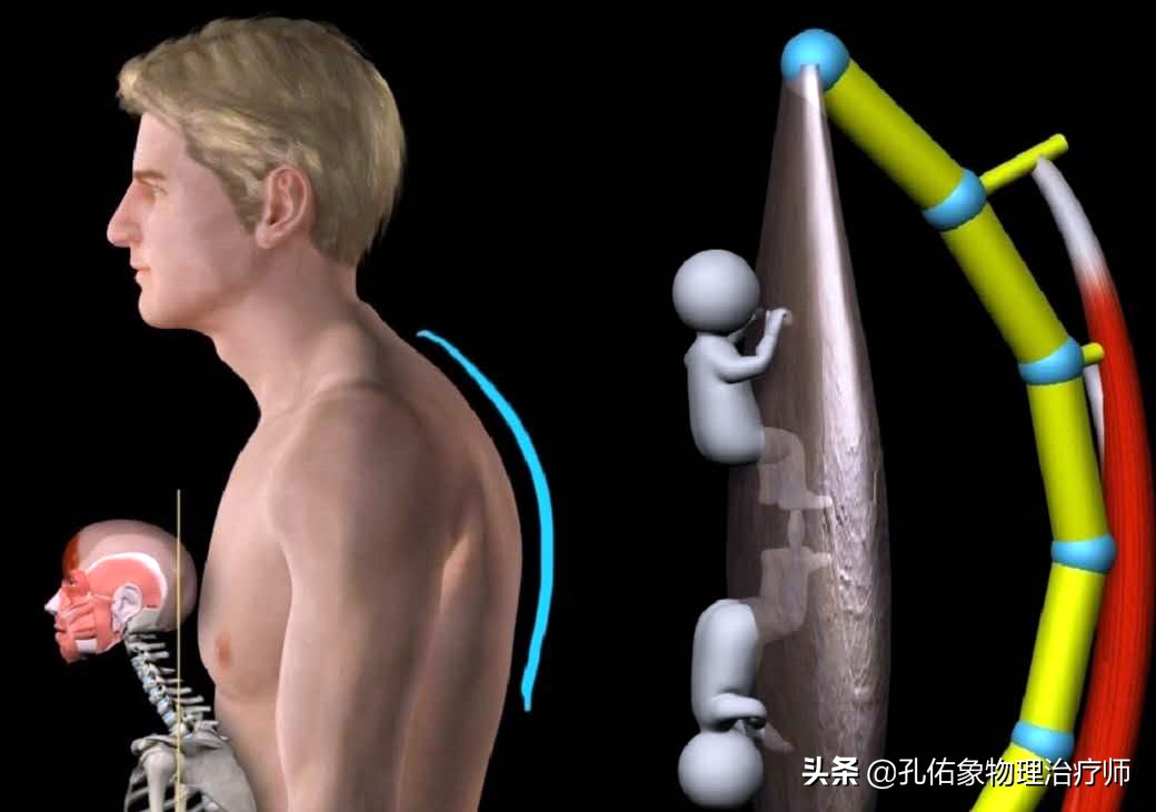 为什么弯腰之后就起不来,为什么弯腰起来特别不舒服