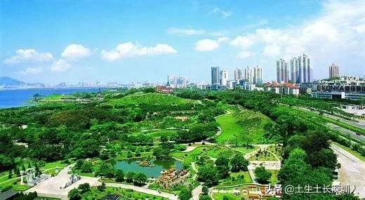 深圳6号线地铁全部站名,深圳地铁15号线全程站名