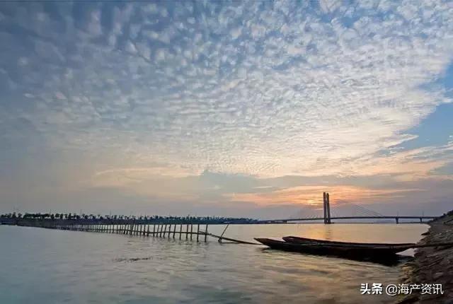 大闸蟹怎么吃才是最正确的,大闸蟹的正确吃法你知道吗