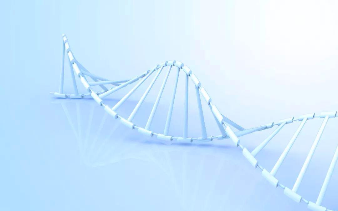 高血压感染冠状病毒怎么治,高血压感染新型冠状病毒