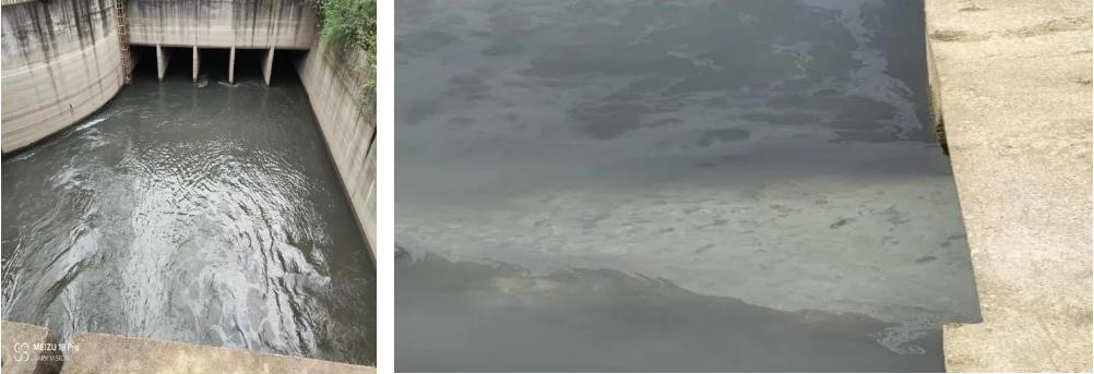 被督察查到整改方案和整改措施,整改报告中追责问责情况