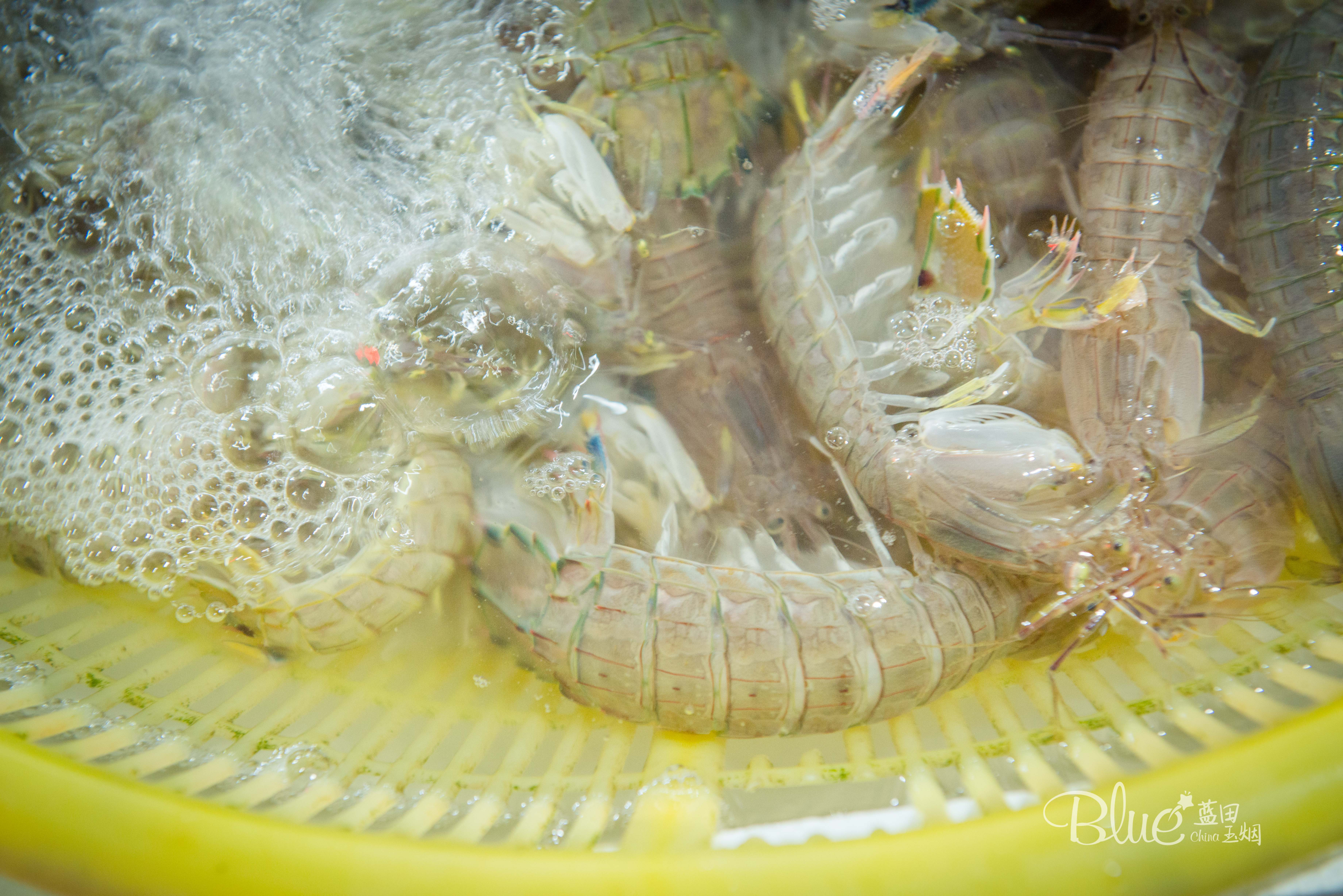 海口海鲜市场哪里比较好,海口板桥海鲜市场海鲜新鲜吗
