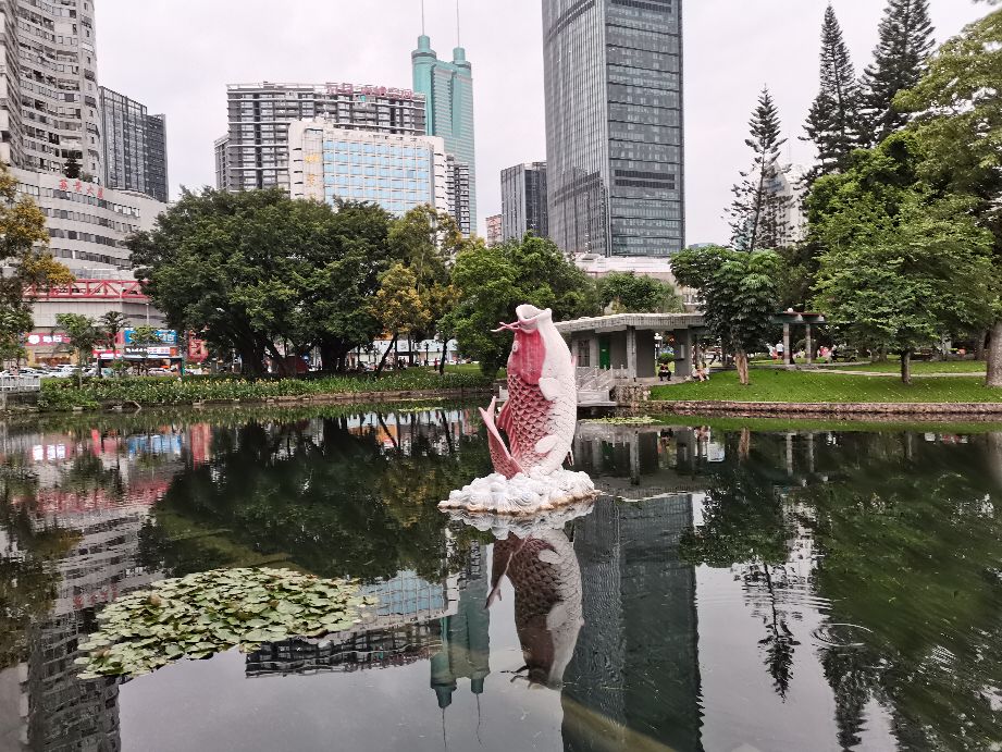 荔枝公园深圳,深圳第一公园荔枝公园