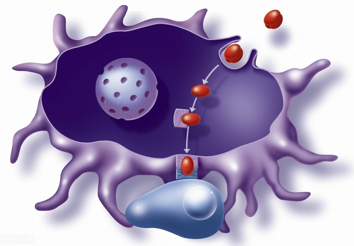 全球首例女性艾滋病患者被治愈,国际上有几例艾滋病治愈患者