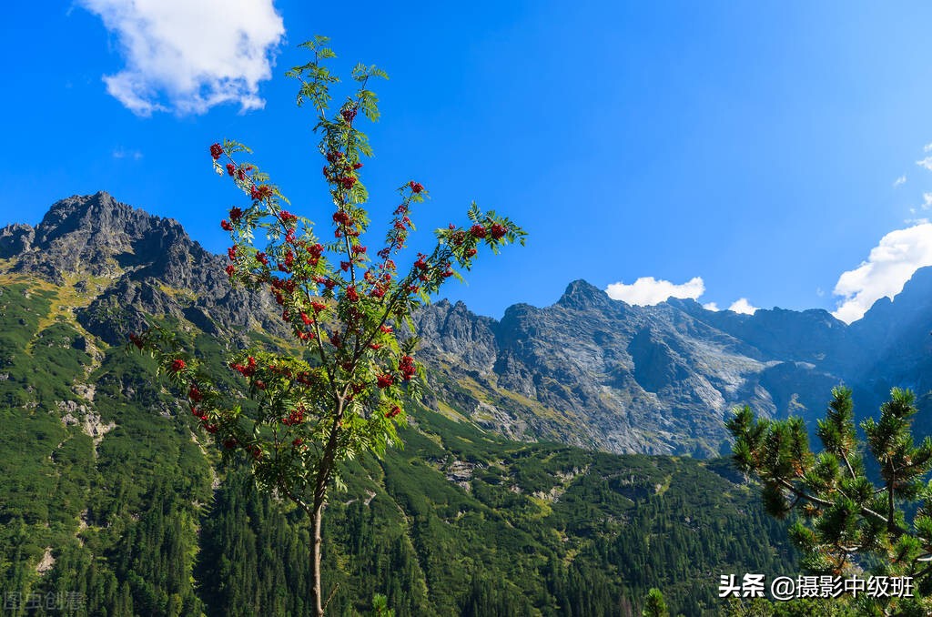 摄影构图三大禁忌,摄影构图常犯的错误新手必须谨慎