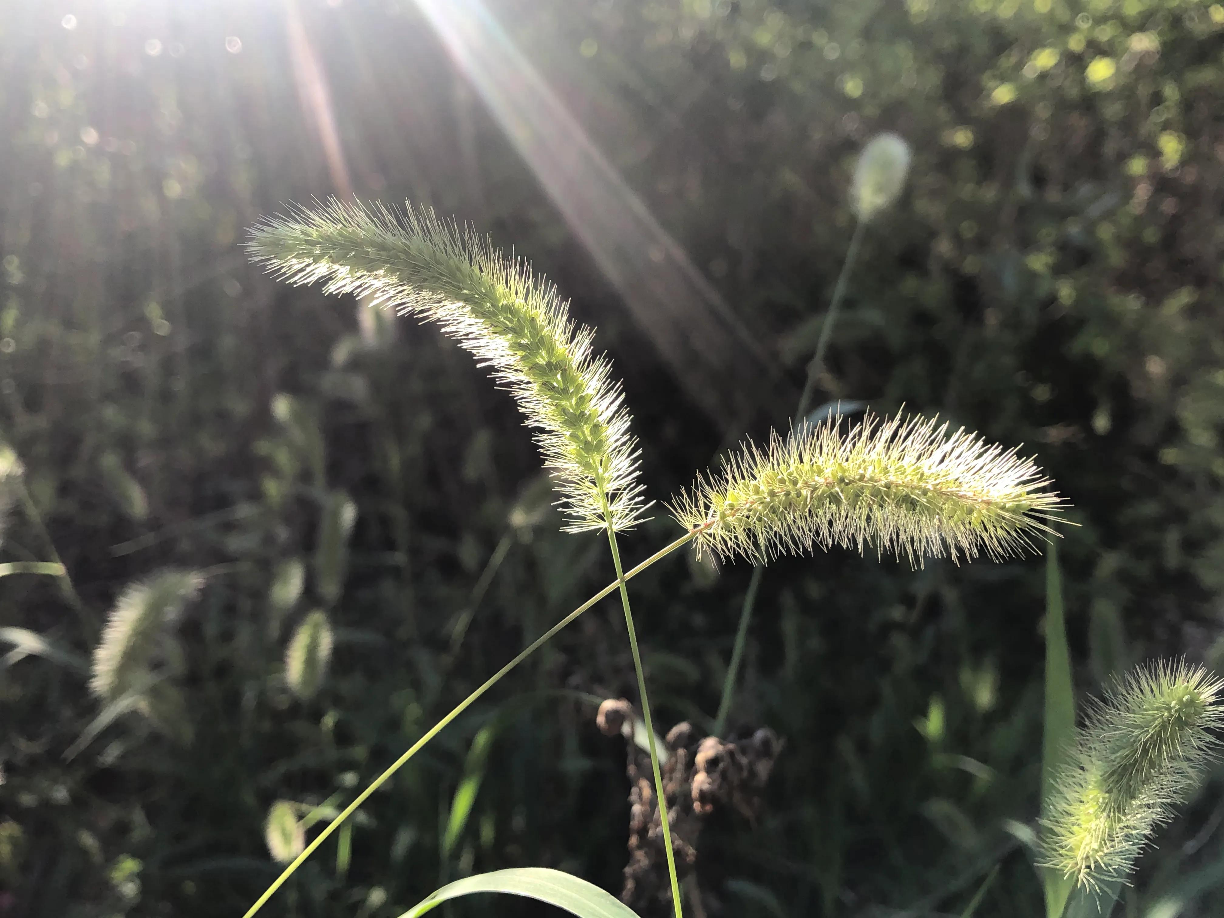 生活需要慢慢修行,生活需要好好修心