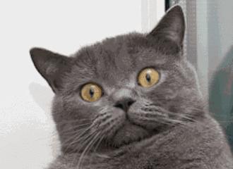 牙齿矫正别轻易拔牙,牙齿矫正要拔牙