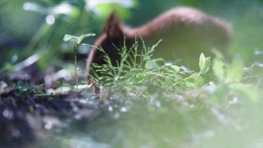 葬礼当天，她成为了四个孩子的“后妈”，网友：这是童话故事吧