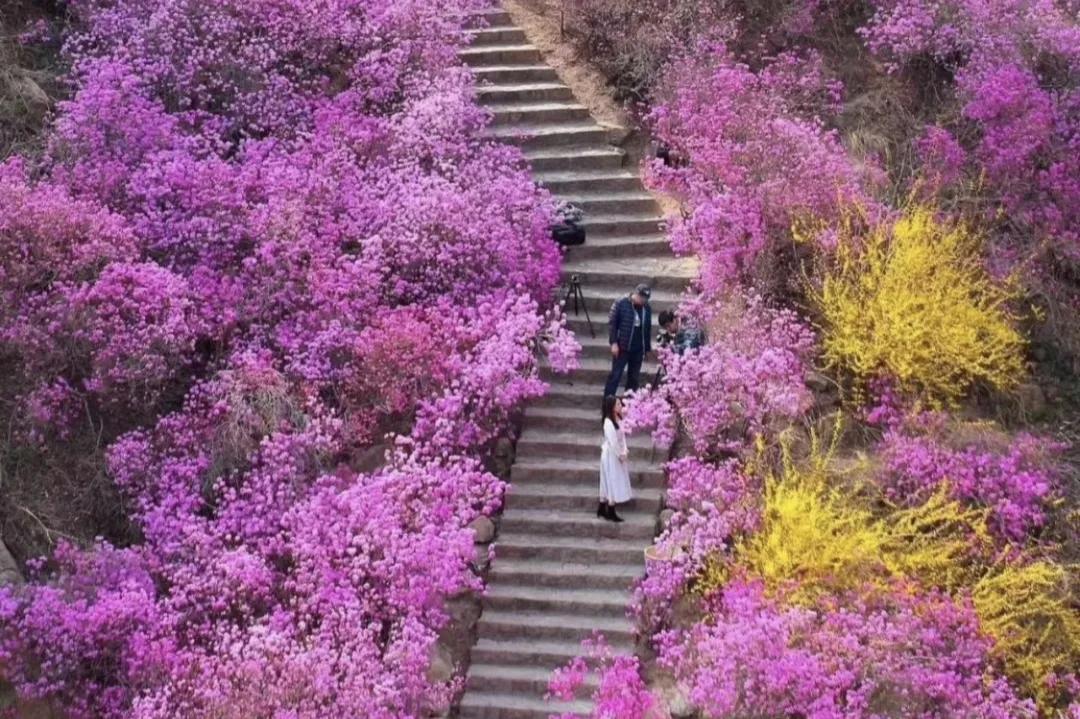 青岛冬天打卡圣地,青岛过年打卡景点有哪些