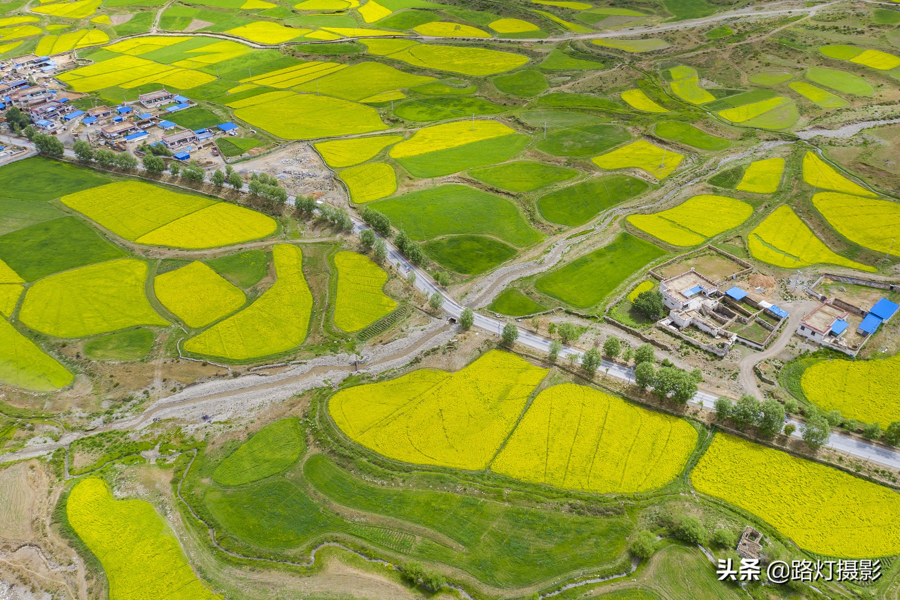 中国最美油菜花赏花地图,中国最美油菜花打卡地方