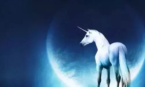 厉害了!骏途网成功入选“西安市首批独角兽企业”认定名单!