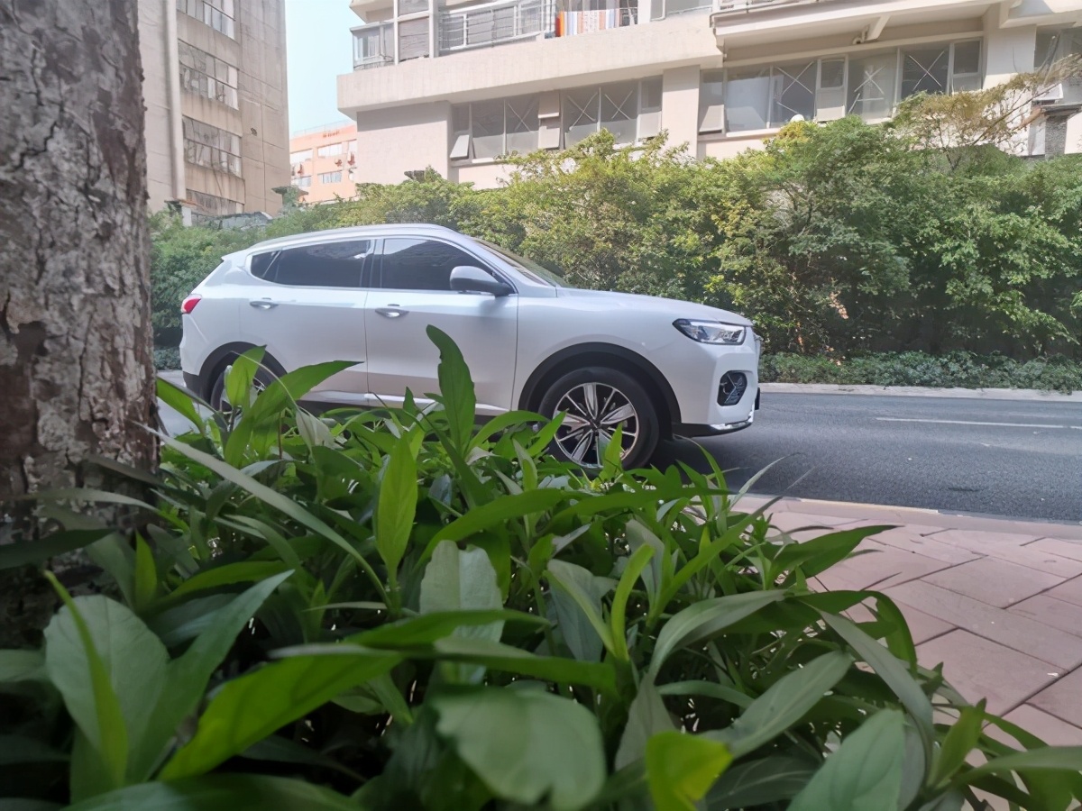 哈弗h6运动版车顶贴膜,哈弗h6的全景天窗有必要贴膜吗