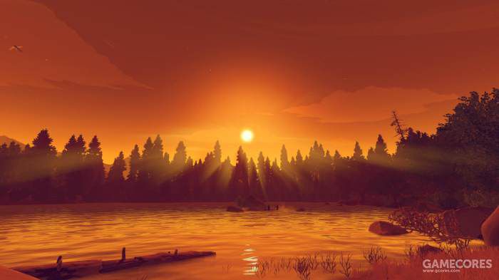 落基山脉森林,落基山森林