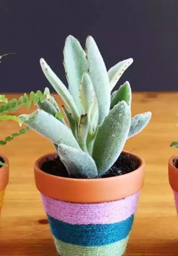 旧毛衣袖子怎么变废为宝,毛衣废物利用变废为宝