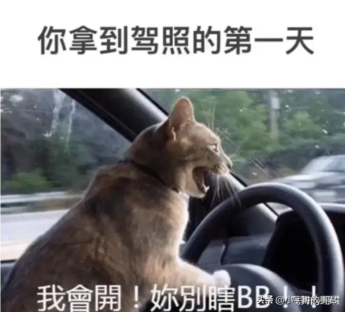 有没有妹子来回答一下，女孩子的腿真的可以折成这样吗?