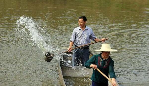 螃蟹养殖技术和视频,螃蟹养殖技术全集